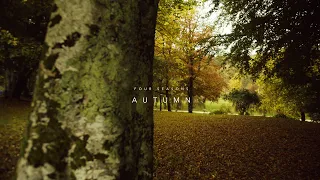 FOUR SEASONS - AUTUMN