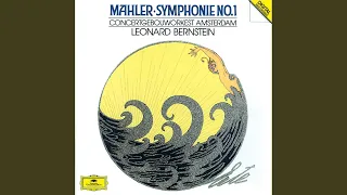 Mahler: Symphony No. 1 in D Major - IV. Stürmisch bewegt (Live)