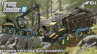 Working with PONSSE equipment in RAIN | Forestry on ERLENGRAT | Farming Simulator 22 | Episode 61