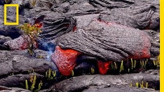 Follow a Lava River’s Mesmerizing Path of Destruction | Short Film Showcase