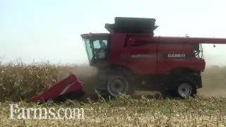 Case IH 7130 Combine Harvesting Corn at the Farm Progress Show Field Demonstration.