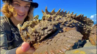 Catching Worlds MOST VENOMOUS FISH (STONEFISH)