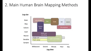 3.2. Human Brain Mapping Methods? Fundamentals of Cognitive Neuroscience Course, Session 3, Part 2