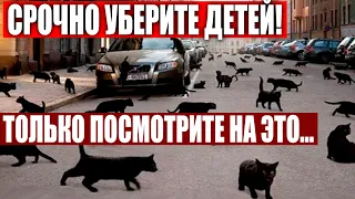 СРОЧНО!!! ЭТОМУ НЕТ РАЗУМНОГО ОБЪЯСНЕНИЯ! УЧЕНЫЕ В Ш*КЕ! 09.12.2020 ДОКУМЕНТАЛЬНЫЙ ФИЛЬМ HD