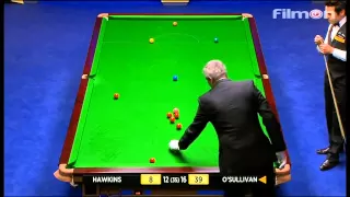 Ronnie O'Sullivan vs Barry Hawkins - WSC 2013 Final - Last session