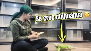 Hagamos cosas de animales juntos 🥰