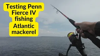 James catching Atlantic mackerel with Penn Fierce IV