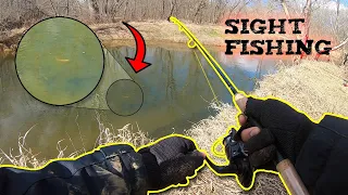 Sight 🧐 Fishing a Trout For HOURS (Can We Catch It?)