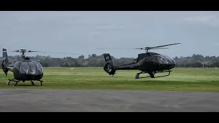 Airbus Helicopters H130 Landing Hawkes Bay Airport