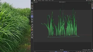 Growing Grass | Particle Simulation | Tutorial | NO PLUGINS | Cinema4D | 2023