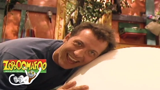 Zoboomafoo 135 - Who's in the Egg? | HD | Full Episode