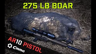 275lb Boar Hog with the CMMG Banshee 200 MK3