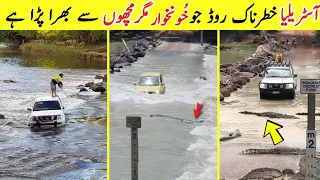 Cahill Crossing east alligator river Australia | Most Dangerous Road in the world |#shorts