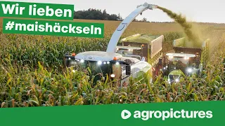 Claas Maisernte Event 2020 | Maishäckseln mit Claas Jaguar 990 TT, Axion 960 TT und Xerion 5000