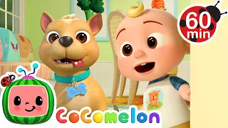 JJ's Doggy Hunt Day! | CoComelon | Animals for Kids | Sing Along | Learn about Animals