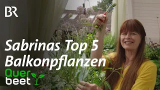 Top 5 der Balkonpflanzen - Tipps von Sabrina