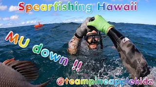 Spearfishing Hawaii Dive sesh at LANIKAI! MU Catch and Cook!