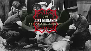 Meet Just Nuisance: The Navy's Unusual Canine Hero | Bitesize History