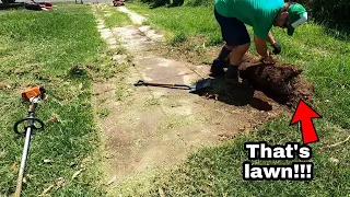 NEGLECTED driveway RESCUED from overgrown lawn!!!