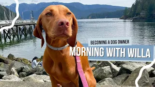 Spend The Morning With Willa the Vizsla In Deep Cove