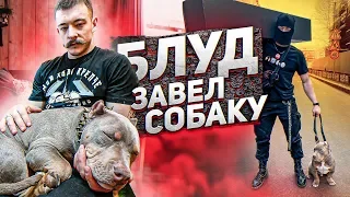 Блуд завёл собаку. Зачем?