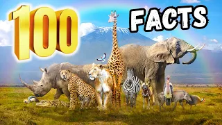 100 Animal Facts Compilation You've Never Heard in 10 Minutes