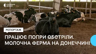 Попри російські обстріли та гибель тварин. Як працює молочна ферма на Донеччині
