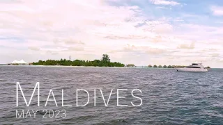 Maldives liveaboard diving trip in may 2023.
