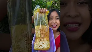 MUKBANG BESAR SARANG LEBAH 500gram BIKIN NGILER #shortvideo