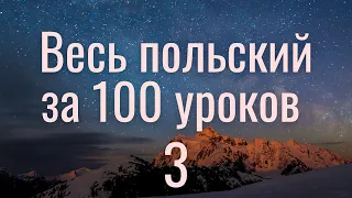 Весь польский за 100 уроков. Польские слова и фразы. Польский с нуля. Польский язык. Часть 3