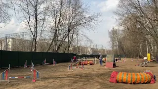 23.04.2022 Аджилити вне зачета / Agility no contest