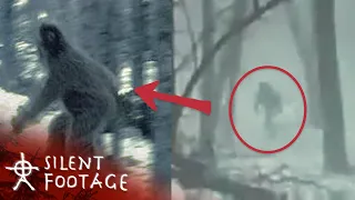 11 Scariest THINGS on the footage Only for the Brave