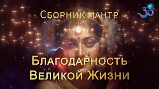 Невероятно-нежные мантры Благодарности Жизни