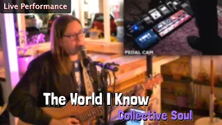 Collective Soul - The World I Know (Live Loop Performance)