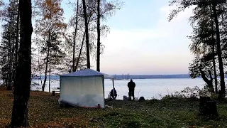 Двое Суток на Рыбалке! Лещей Поймали, Рыбу Закоптили! Отдых на Чигиринке. Лещи на Фидер в Октябре.