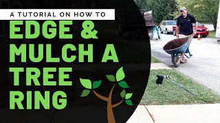 How to Edge & Mulch a Tree Ring