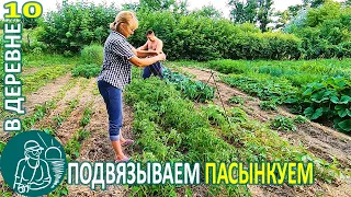🍅 Garter and Pinching Tomato 🏡 The Life of the Gordeevs in the Village - Vlog 10