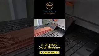 Small Skived Cooper Heatsinks | Wellste