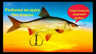 Когда не работали блесна СНАСТОЧКА из МЕРТВОЙ рыбки  СПОСОБ изготовления приманки для РЫБАЛКИ!