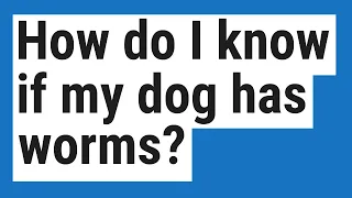 How do I know if my dog has worms?