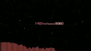 T-Fest Не Помню (Remix)