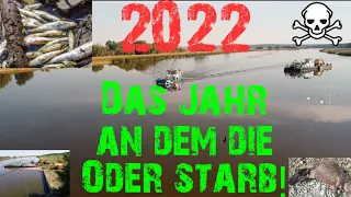 Fischsterben in der Oder.Das Jahr an dem die Oder starb. Umweltkatastrophe am Grenzfluss