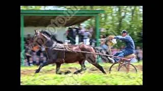 История создания Гагаузской Автономии