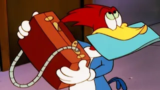 Woody Woodpecker | Spy-Guy | 1 Hour Compilation | Funny Videos For Kids | WildBrain Bananas