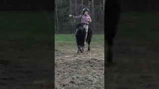 Riding cows