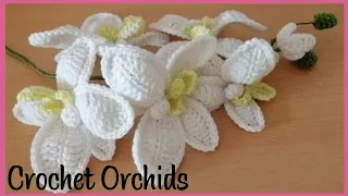 Crochet White Orchids