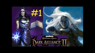 Necromancer with a Big Heart!! - Baldur's Gate: Dark Alliance 2