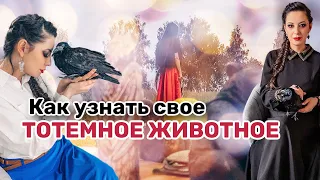 Как узнать свое тотемное животное