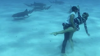 Dancing with Sharks: Shark Couple: Ocean Ramsey & JuanSharks