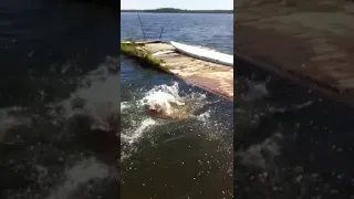 Tessa perfect dive